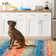 Paint Chip Multi Machine Washable Rug
