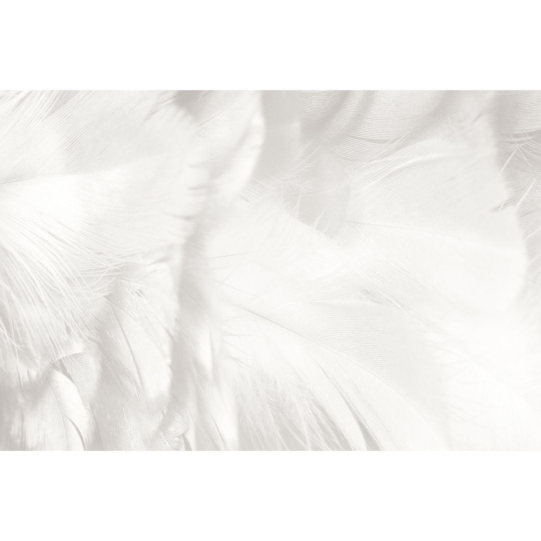 Beautiful White Feather by Nadtytok - Wrapped Canvas Print