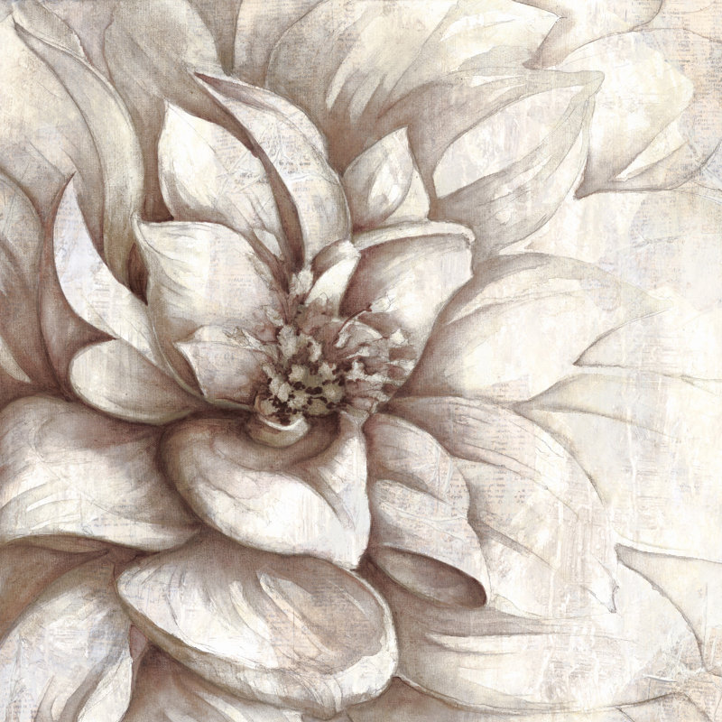 Large Neutral Florals - Wrapped Canvas Painting, 91cm H x 91cm W x 3.8cm D