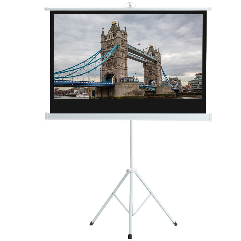 Symple Stuff Portable Projector Screen Projector Screen, 230cm H x 159cm W x 19cm D
