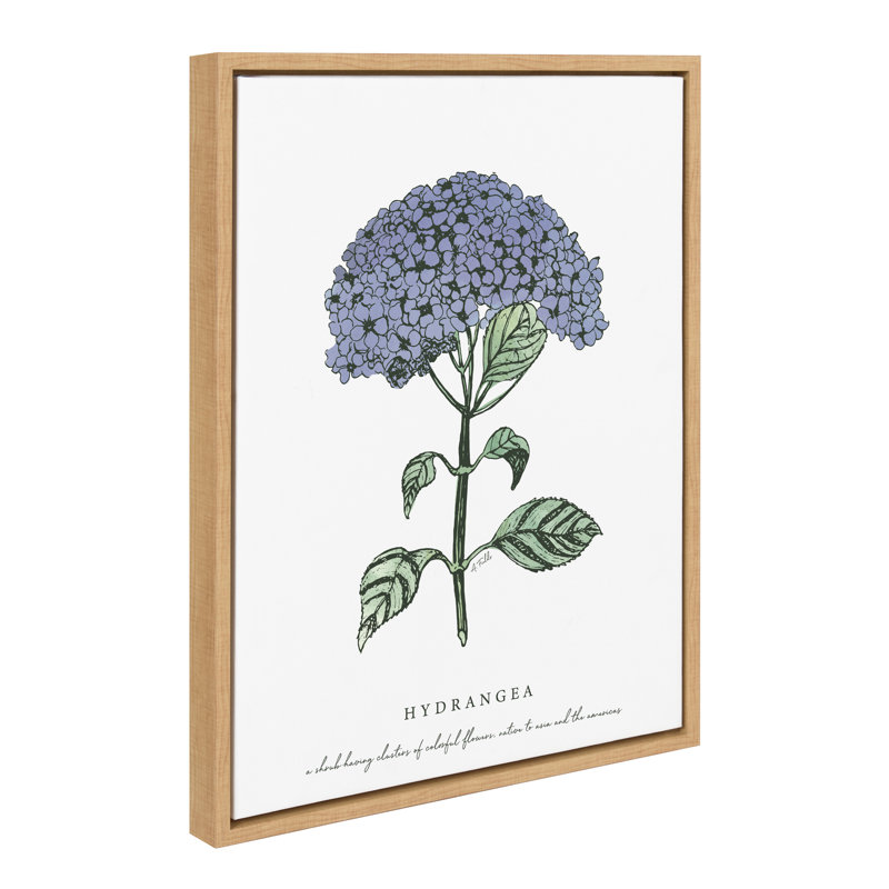 «Blooming Hydrangea» par déclaration sur toile encadrée, Brun
