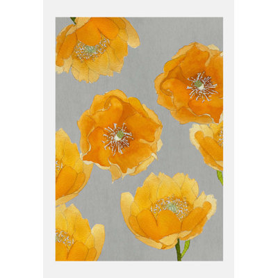 " Orange Cactus Flowers On Gray "