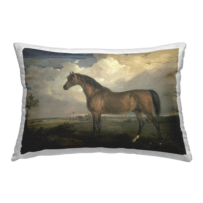 Coussin extérieur Overcast Clouds & Horse