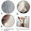 Beige Alpaca Portrait II, reproduction d'art sur toile-706939920-706939923