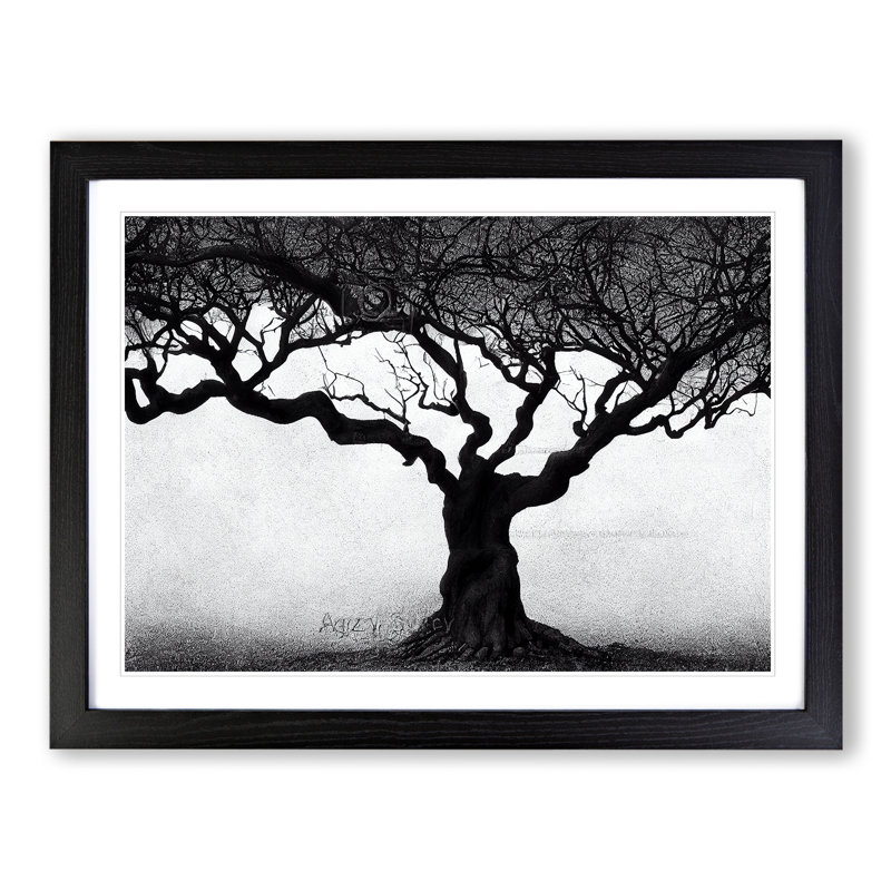 Shimmering Trees - Framed Print, Black, 25cm H x 34cm W x 2cm D