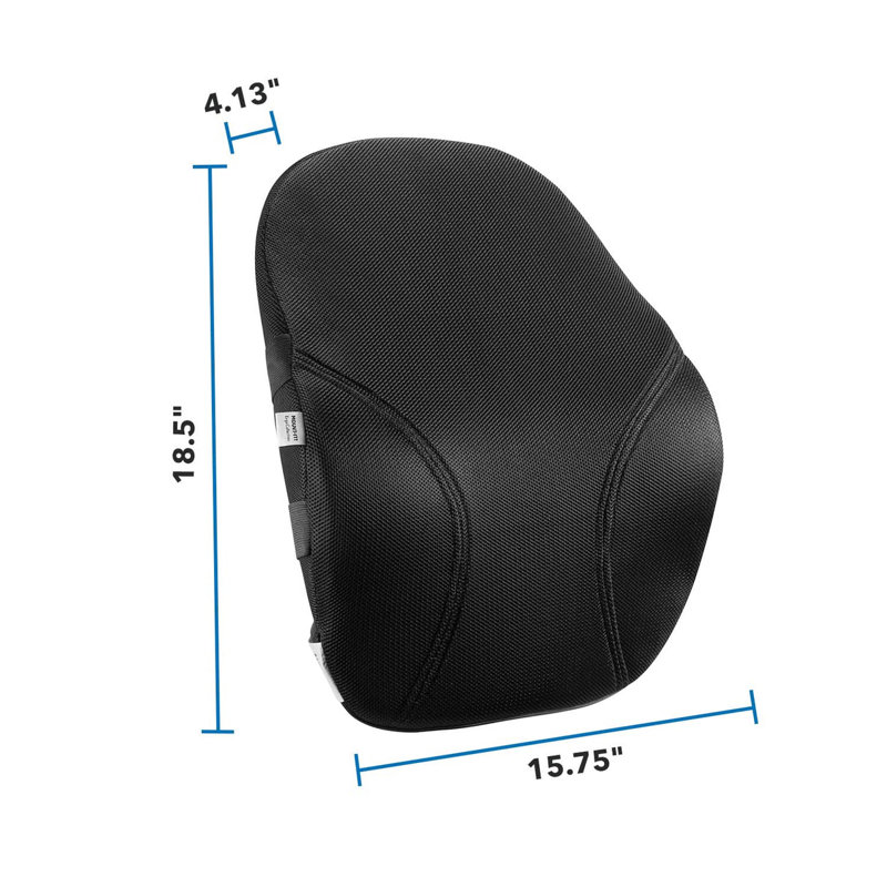 Ergo Collection Lumbar Support