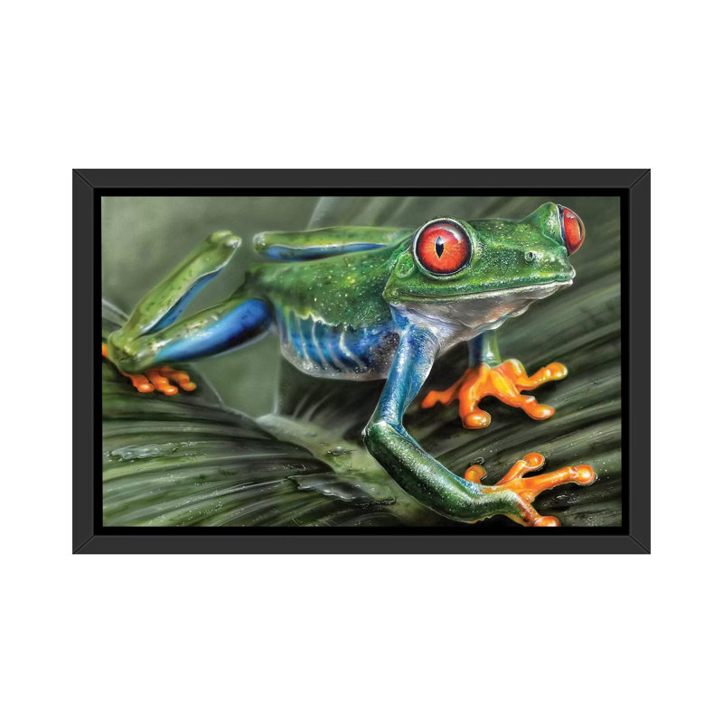 «Tree Frog I», reproduction de photo encadrée, H 40 po x l 60 po x 1,5 po, Cadre noir