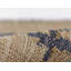 Erin Gates by Momeni Orchard Bloom Blue Hand Woven Wool and Jute Area Rug-84931064