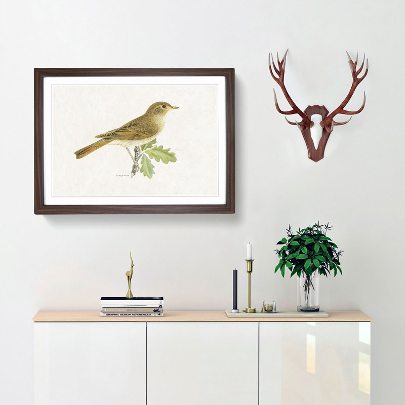 Thrush Nightingale Bird by Von Wright - Picture Frame Painting Print, 48cm H x 65cm W x 2cm D, Walnut Framed