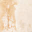 Harland Cowhide Animal Print Area Rug in Ivory