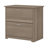 Osvald 31.26'' Wide 2 -Drawer File Cabinet-2136884452