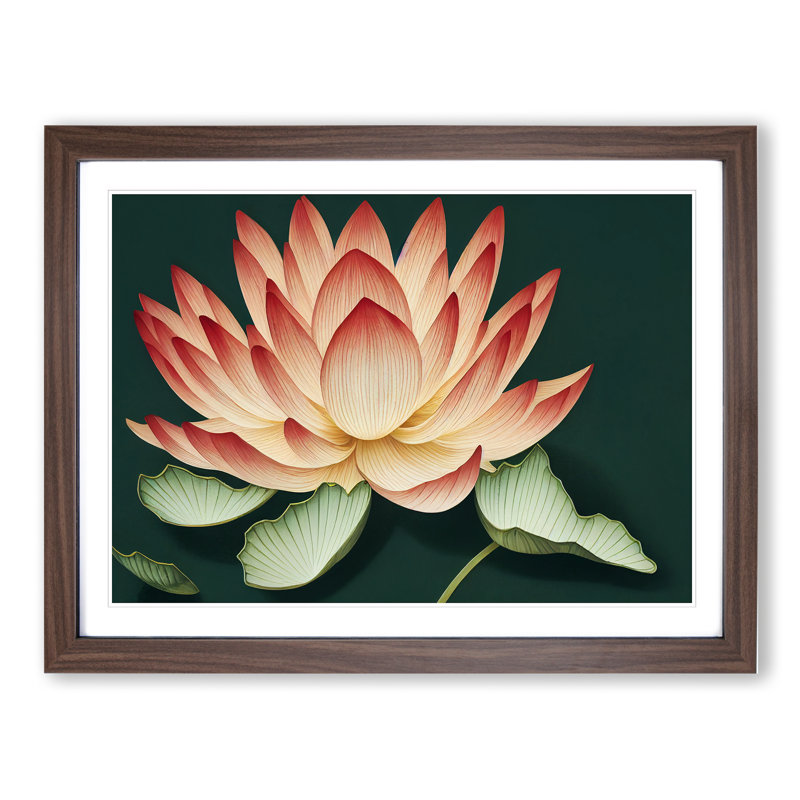 Showstopping Lotus Flower - Framed Print, 46cm H x 64cm W x 2cm D, Walnut