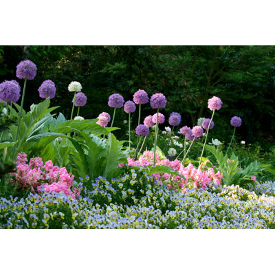 Badi " Flowering Garden In Spring " by Email2Ying