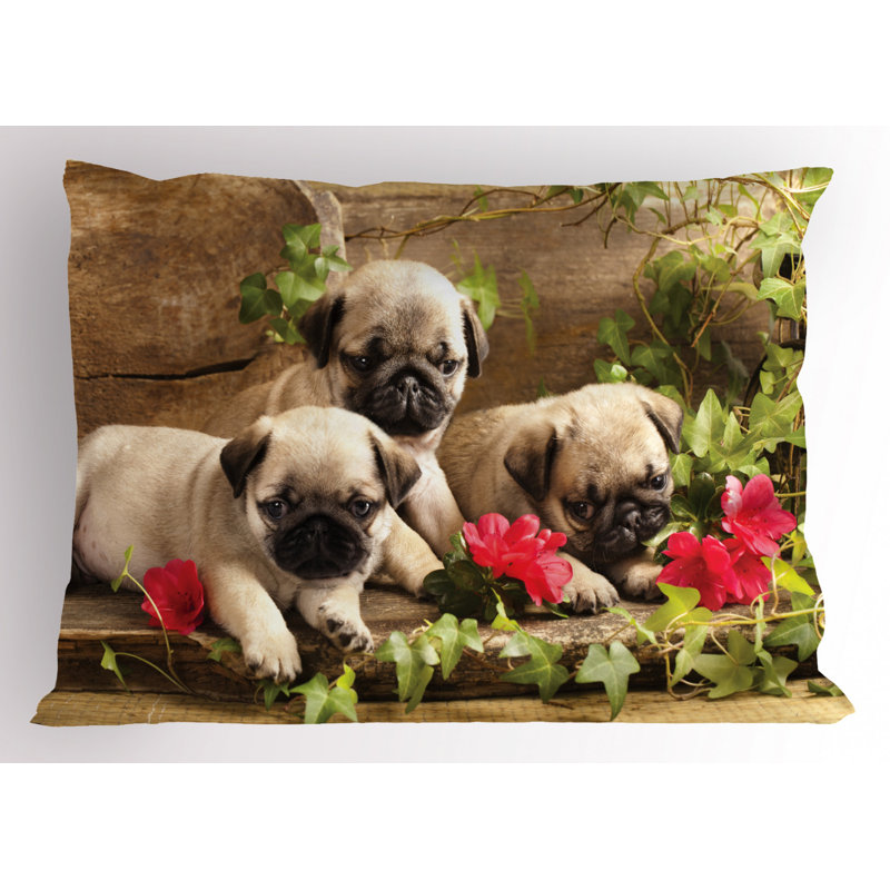 Polyester Sham Set, Twin