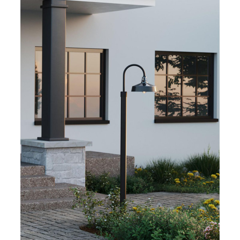 Tête de lanterne câblée à 1 lumière H 17 po Cedar Springs, Noir lustré