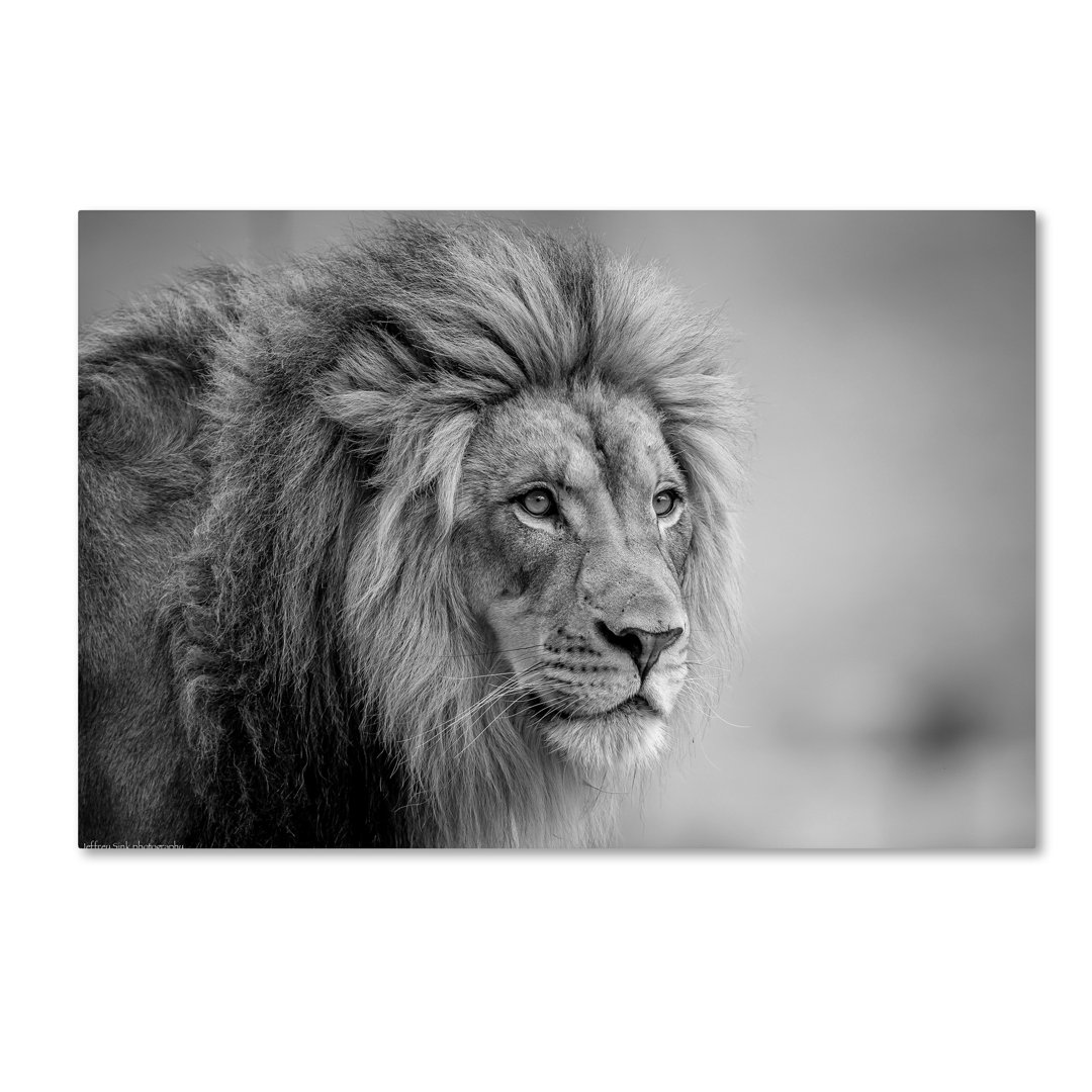 'His Majesty' Photographic Print on Wrapped Canvas Ebern Designs 