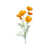 Orange selected