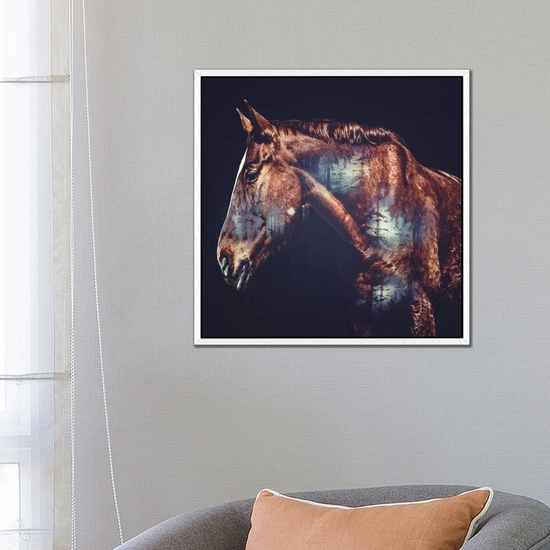 Horse by Paul Haag - Print on Canvas, White Framed, 66.04 cm H x 66.04 cm W