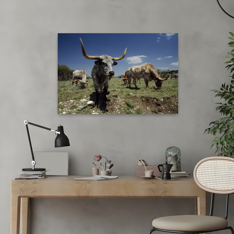 Texas Longhorn Cattle In A Field by Gerald L. French - Wrapped Canvas Print, 40.64 cm H x 60.96 cm W