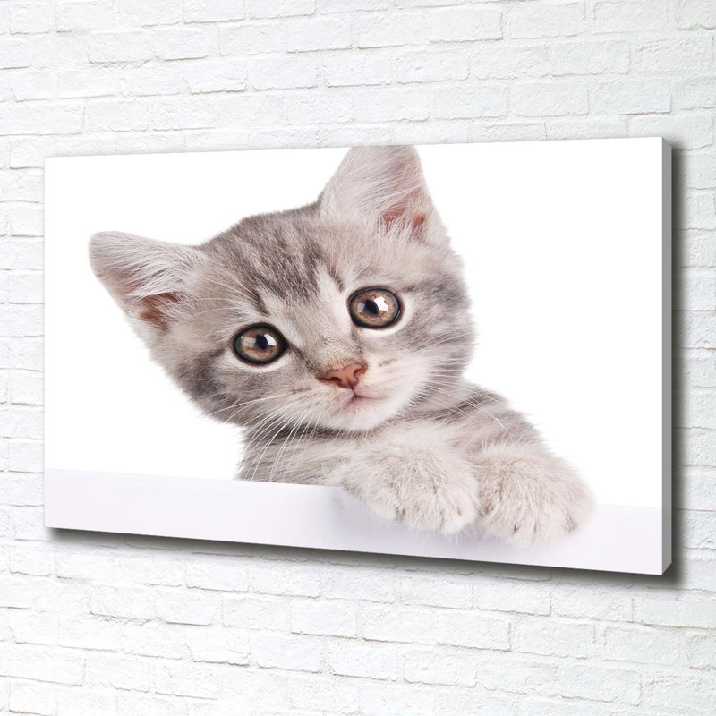 Grey Cat - Wrapped Canvas Print