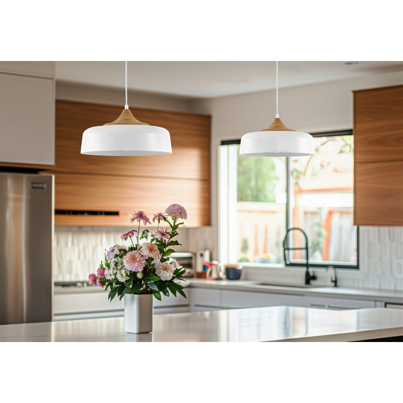 Deylin 1 - Light Dome Pendant