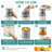 Wireless Portable Electric Citrus Juicer
