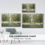 Forest Path encadré sur toile-94360475-94360471