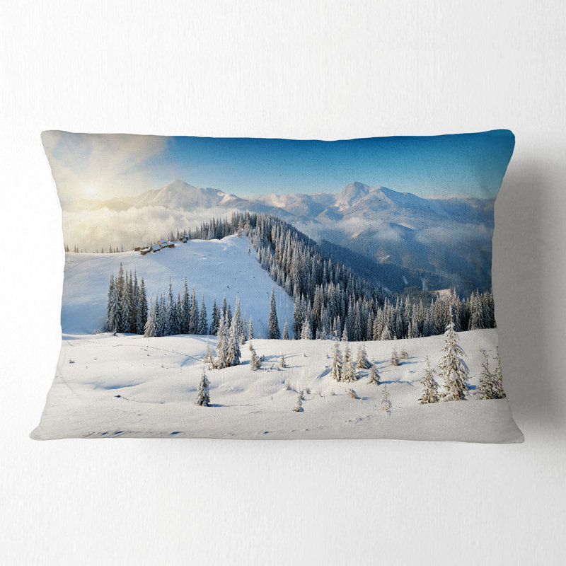 Coussin Schafer