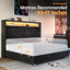 Mansuur Upholstered Platform Storage Bed-1918359723-1918359724