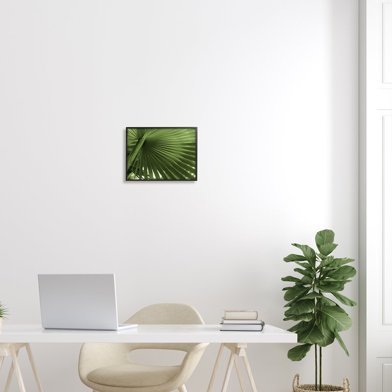 Gros plan sur une feuille de palmier, Giclée encadrée noir minuit, H 11 po x l 14 po x P 1,5 po