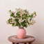 Bouquet de fleurs de thym artificiel 5 pièces, verdure de soie simulée de 30 pouces, fleurs de décoration pour jardin, table de jardin, bureau, rose-1850352111