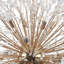 Dandelion 20-Light Modern Round Sputnik Crystal Chandelier Starburst Ceiling Light-1670987687