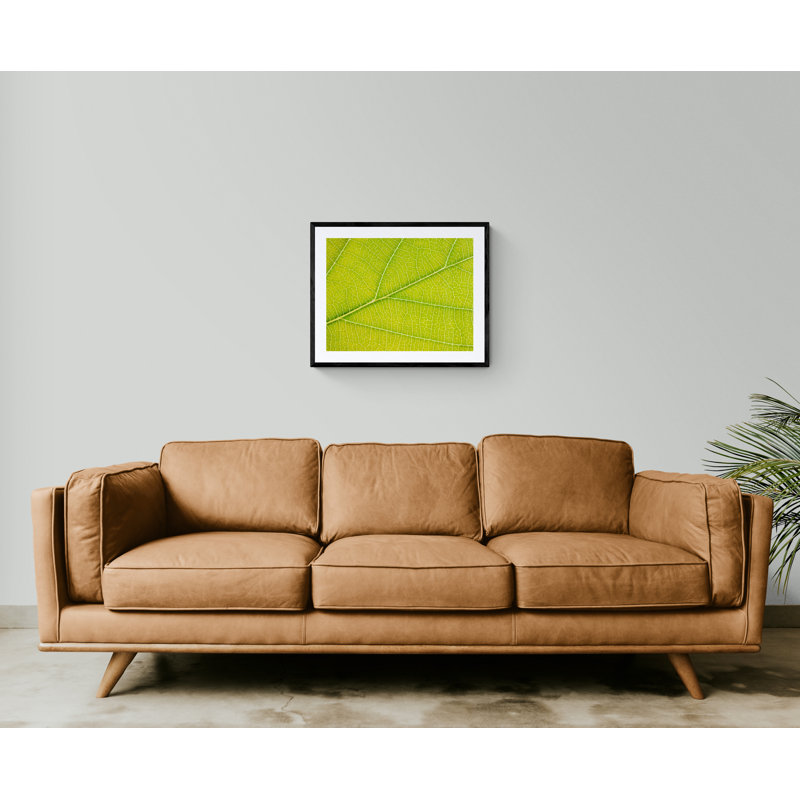 Autumn Leaf Print by Philippe Monthoux, Black Framed Paper, 24" H x 30" W