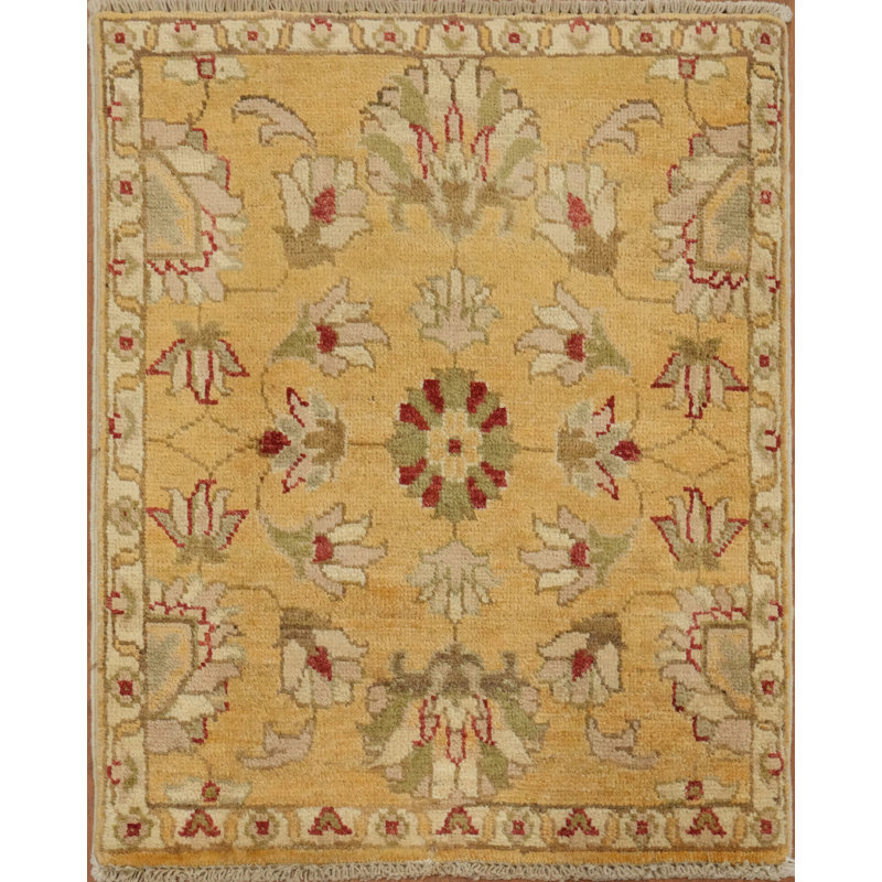 Tapis classique fabriqué à la main dans des tons chauds avec motifs audacieux 2 x 3