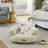 Zoe Pet Bed