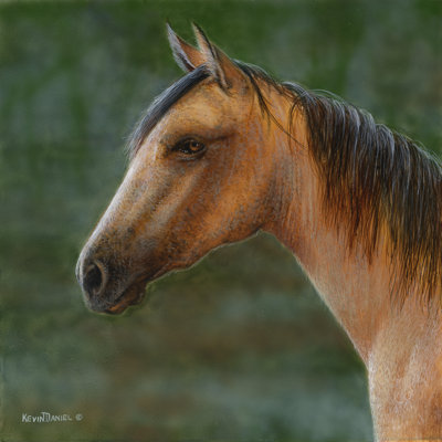 Mustang by Kevin Daniel - Wrapped Canvas Print