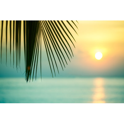Beautiful Tropical Sunset by Jasmina007