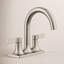 Venza Centerset Bathroom Sink Faucet 1.0 GPM-390193029