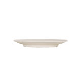 11'' Melamine Dinner Plate