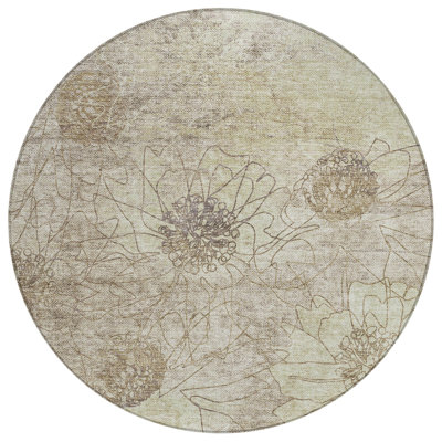 Machine Washable Indoor/Outdoor Leavittsburg ACN2235 Floral Rug
