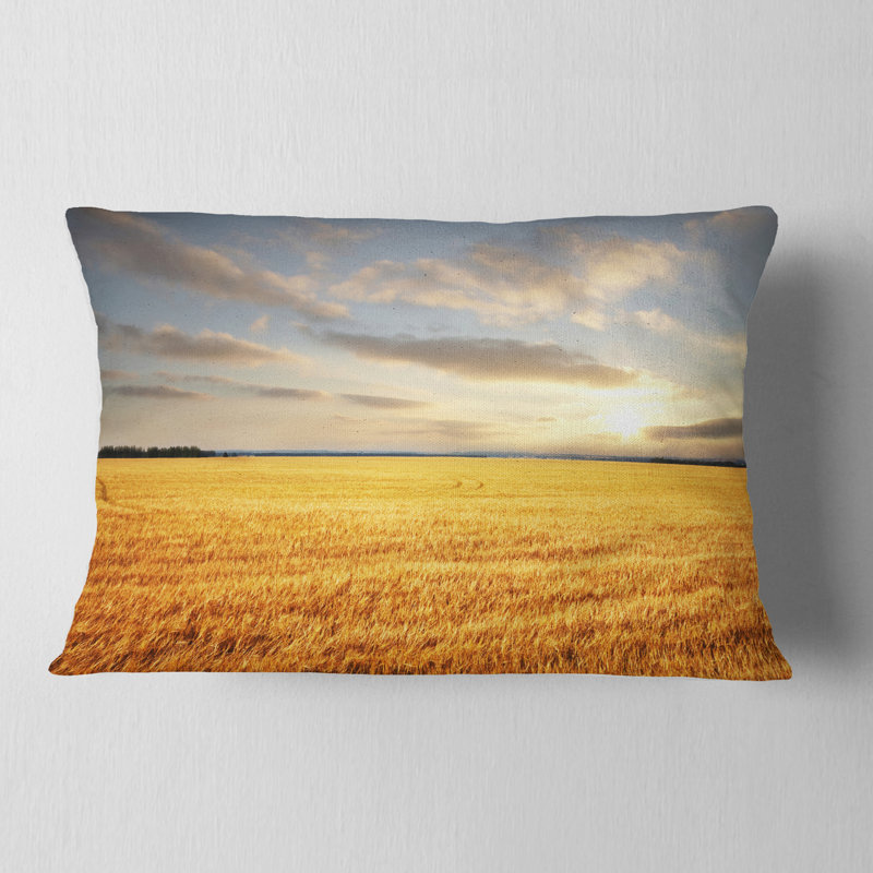 Coussin Schafer
