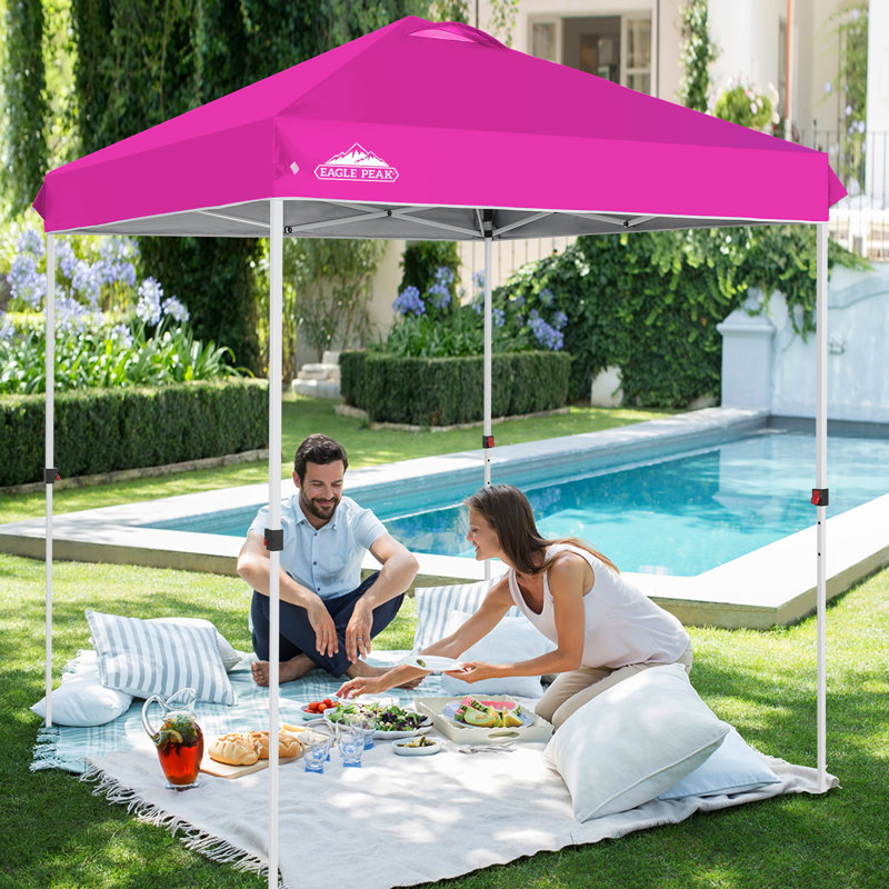 79.2'' W x 79.2'' D Steel Pop-Up Canopy, Pink