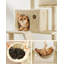 206cm H Cat Tree-105628841-100542157