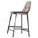 Audrina Upholstered Counter Stool with Metal Frame
