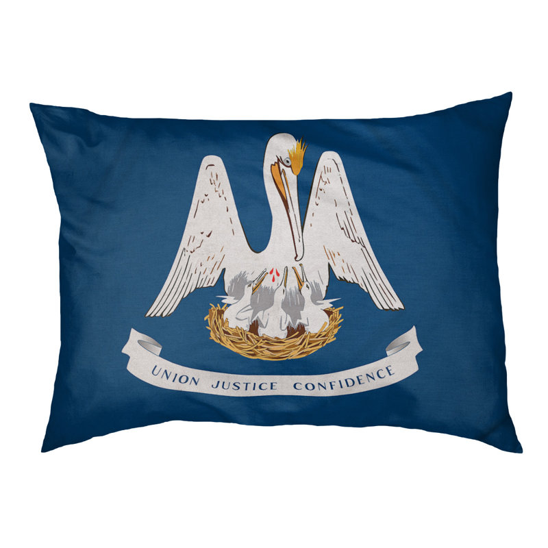 Coussin stylisé louisiana flag Burien, L 19,5 po x l 29,5 po, Marron foncé