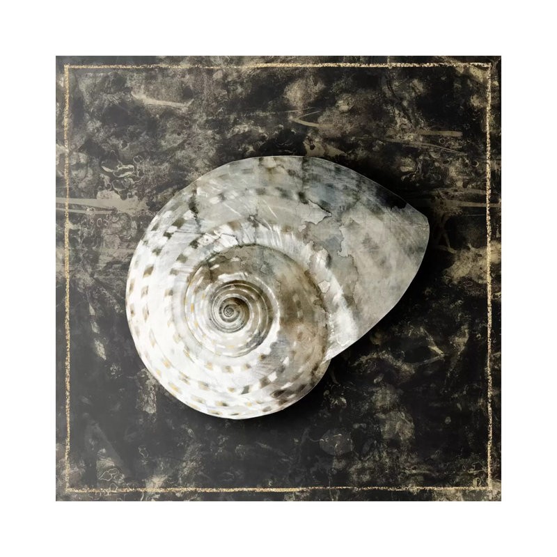 Marble Shell Series II, 45.72 cm H x 45.72 cm W x 1.91 cm D
