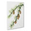 Western Larch by Mary Vaux Walcott - Wrapped Canvas-61876350