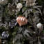 5.7" White Matte Onion Ornament UV, 3 Per Bag-767946313