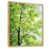 Cadre naturel flottant