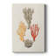 Knorr Shells & Coral IV sur impression sur toile-1526113381